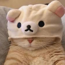 Hoàng Văn Nghĩa avatar